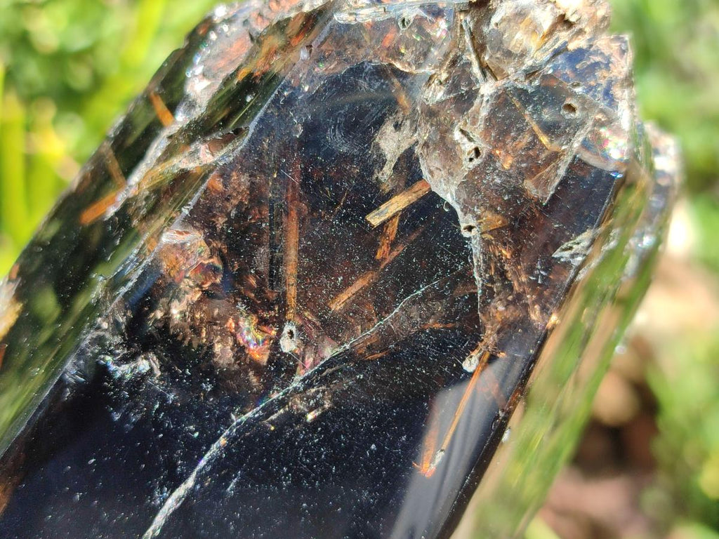 Polished On One Side Smokey Marion Quartz Crystals x 2 From Zomba, Malawi