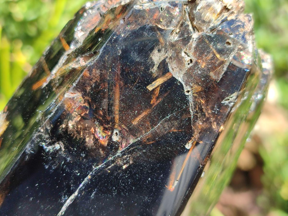 Polished On One Side Smokey Marion Quartz Crystals x 2 From Zomba, Malawi