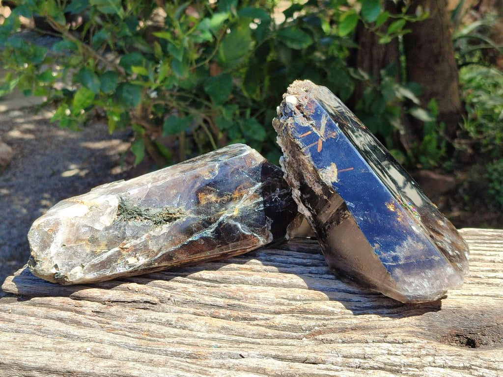 Polished On One Side Smokey Marion Quartz Crystals x 2 From Zomba, Malawi