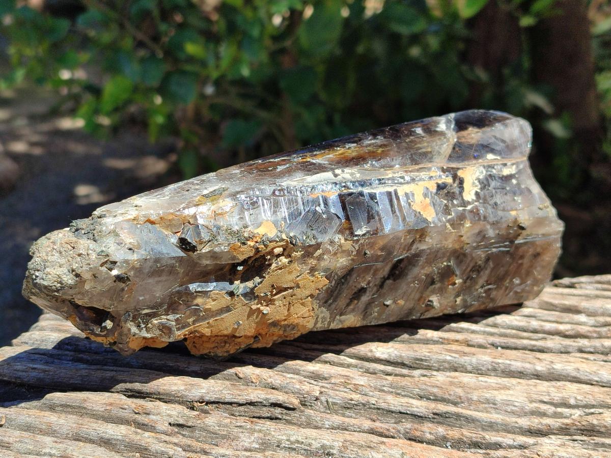 Polished On One Side Smokey Marion Quartz Crystals x 2 From Zomba, Malawi