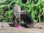 Polished On One Side Smokey Marion Quartz Crystals x 2 From Zomba, Malawi