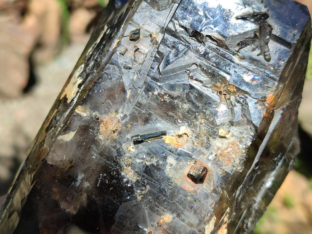 Polished On One Side Smokey Marion Quartz Crystals x 2 From Zomba, Malawi