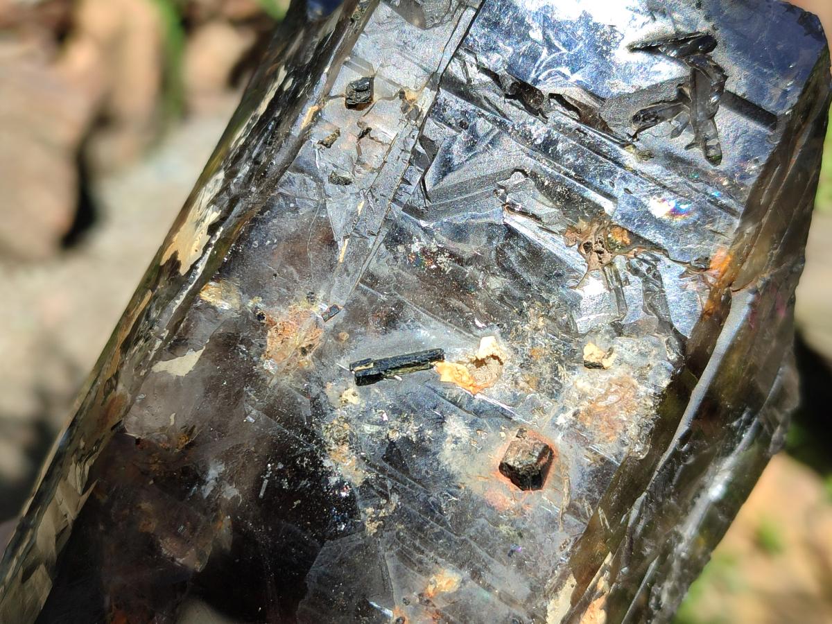 Polished On One Side Smokey Marion Quartz Crystals x 2 From Zomba, Malawi