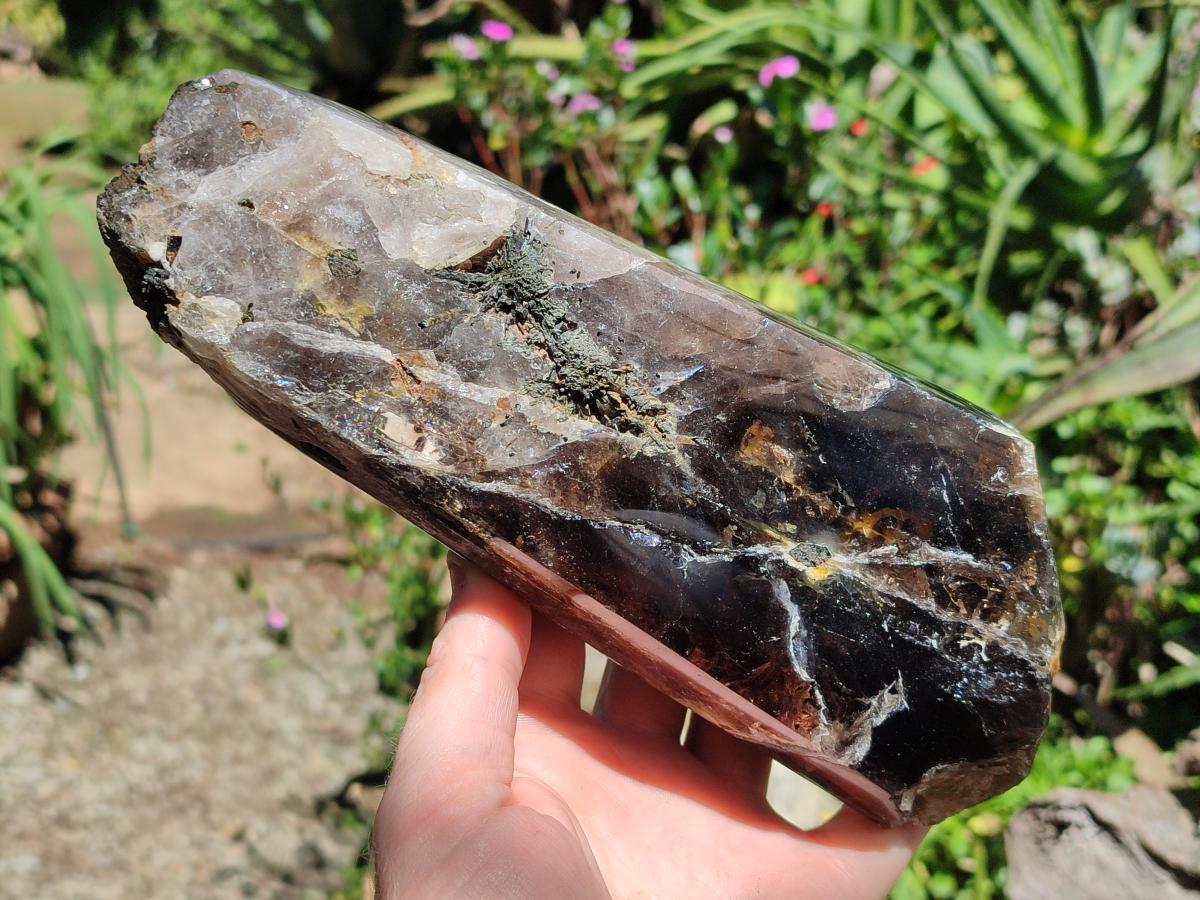 Polished On One Side Smokey Marion Quartz Crystals x 2 From Zomba, Malawi