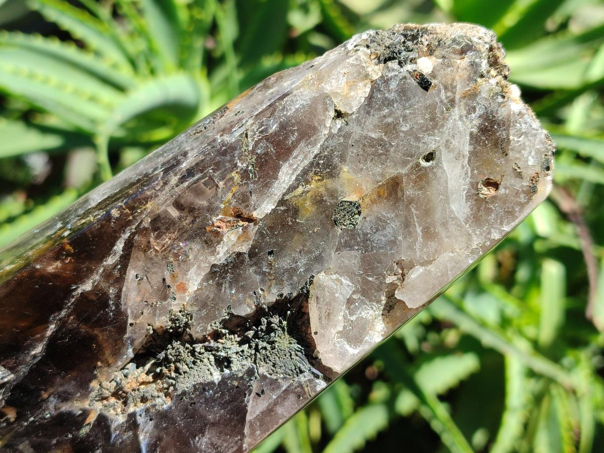 Polished On One Side Smokey Marion Quartz Crystals x 2 From Zomba, Malawi