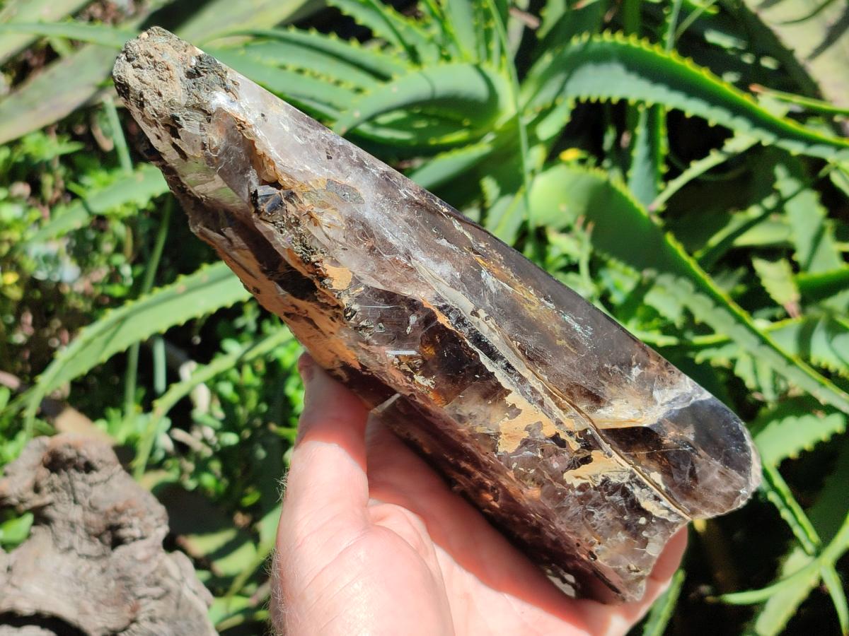 Polished On One Side Smokey Marion Quartz Crystals x 2 From Zomba, Malawi