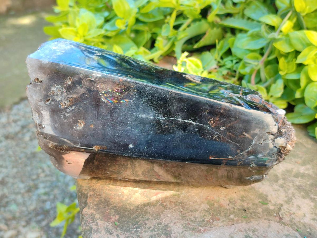 Polished On One Side Smokey Marion Quartz Crystals x 2 From Zomba, Malawi