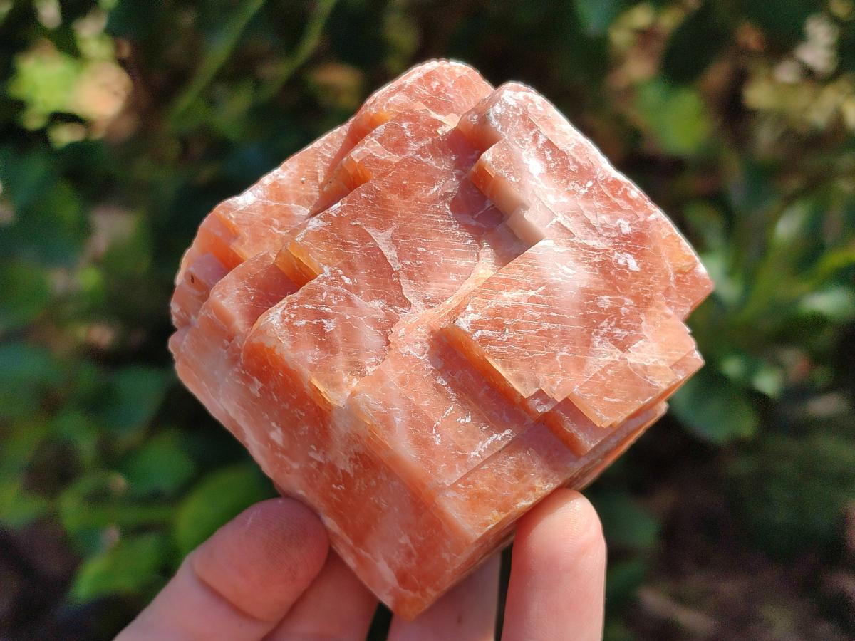Natural Sunset Orange Calcite Specimens x 5 From Spitzkop, Namibia