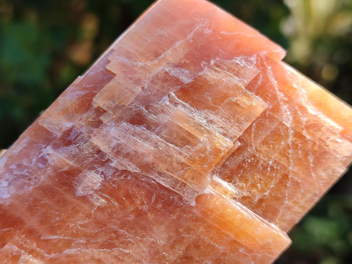 Natural Sunset Orange Calcite Specimens x 5 From Spitzkop, Namibia