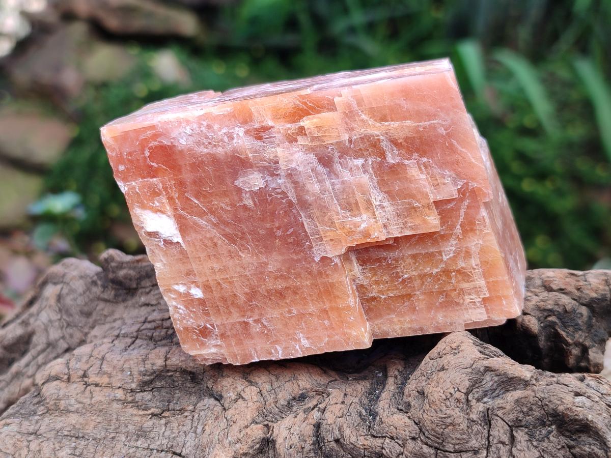 Natural Sunset Orange Calcite Specimens x 5 From Spitzkop, Namibia