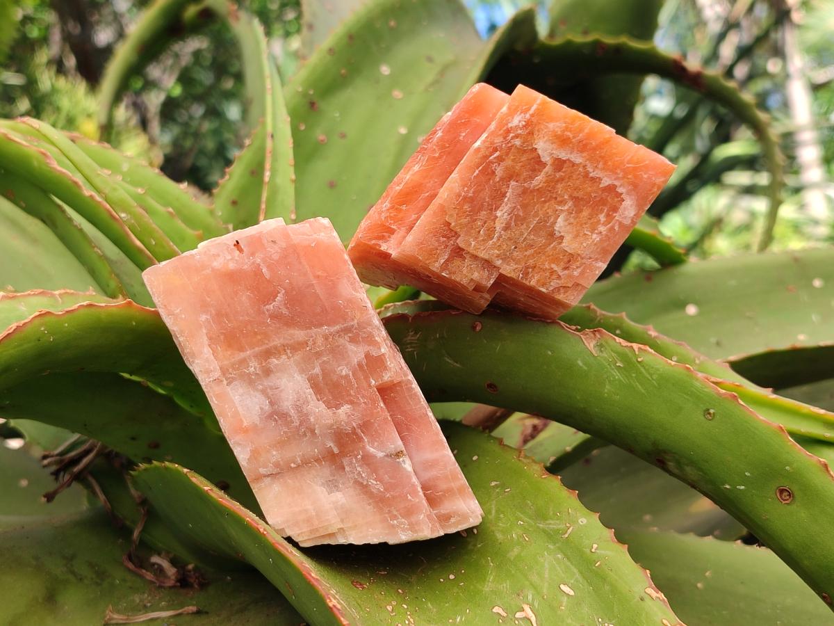Natural Sunset Orange Calcite Specimens x 5 From Spitzkop, Namibia