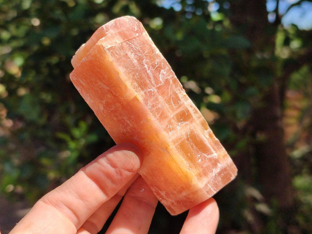 Natural Sunset Orange Calcite Specimens x 5 From Spitzkop, Namibia