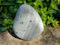 Polished Blue Spotted Spinel In Quartz Standing Free Forms x 2 From Madagascar
