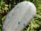 Polished Blue Spotted Spinel In Quartz Standing Free Forms x 2 From Madagascar