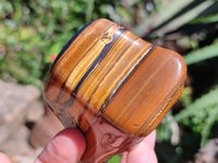 Polished Golden Jumbo Tigers Eye Free Forms x 6 From Prieska, South Africa