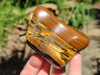 Polished Golden Jumbo Tigers Eye Free Forms x 6 From Prieska, South Africa
