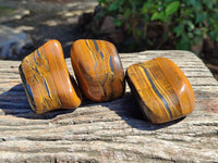 Polished Golden Jumbo Tigers Eye Free Forms x 6 From Prieska, South Africa