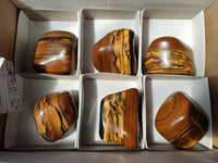 Polished Golden Jumbo Tigers Eye Free Forms x 6 From Prieska, South Africa