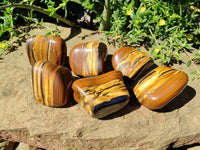 Polished Golden Jumbo Tigers Eye Free Forms x 6 From Prieska, South Africa