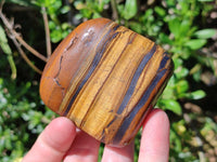 Polished Golden Jumbo Tigers Eye Free Forms x 6 From Prieska, South Africa