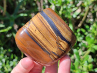 Polished Golden Jumbo Tigers Eye Free Forms x 6 From Prieska, South Africa