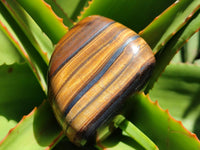 Polished Golden Jumbo Tigers Eye Free Forms x 6 From Prieska, South Africa
