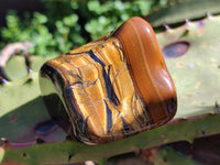Polished Golden Jumbo Tigers Eye Free Forms x 6 From Prieska, South Africa
