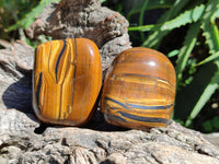 Polished Golden Jumbo Tigers Eye Free Forms x 6 From Prieska, South Africa