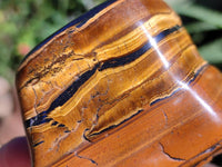 Polished Golden Jumbo Tigers Eye Free Forms x 6 From Prieska, South Africa