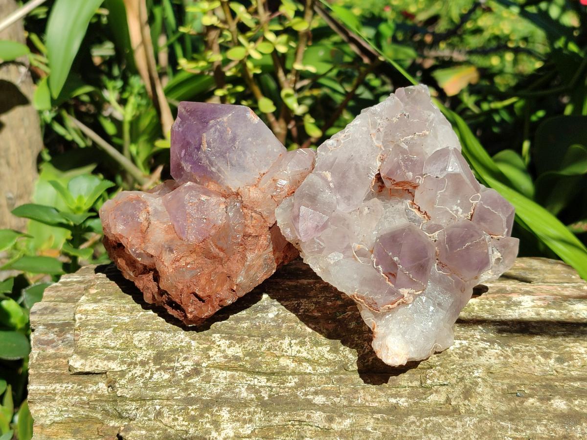Natural Jacaranda Amethyst Crystal Clusters x 6 From Mumbwa, Zambia