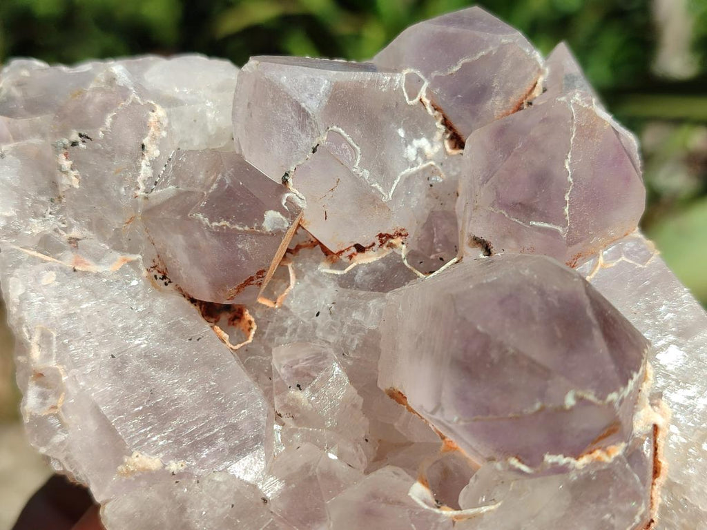 Natural Jacaranda Amethyst Crystal Clusters x 6 From Mumbwa, Zambia