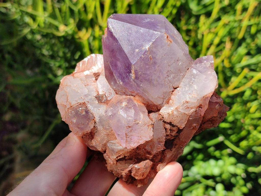 Natural Jacaranda Amethyst Crystal Clusters x 6 From Mumbwa, Zambia
