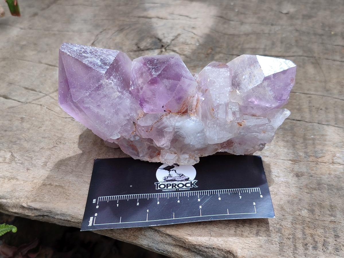 Natural Jacaranda Amethyst Crystal Clusters x 6 From Mumbwa, Zambia