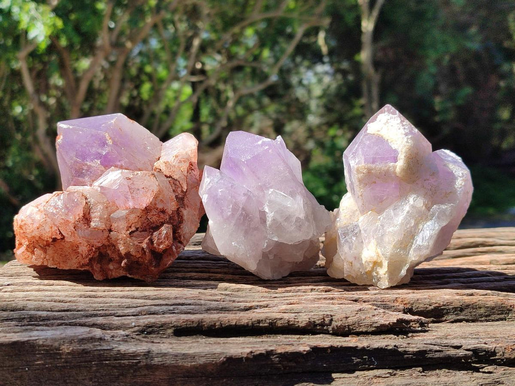 Natural Jacaranda Amethyst Crystal Clusters x 6 From Mumbwa, Zambia