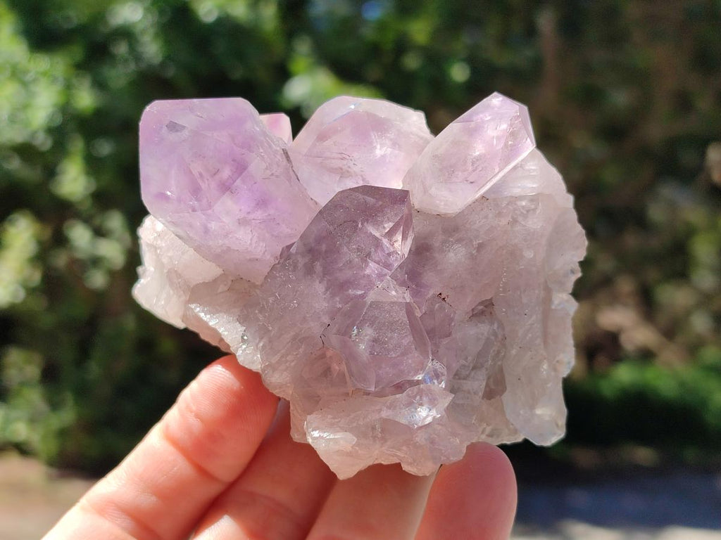 Natural Jacaranda Amethyst Crystal Clusters x 6 From Mumbwa, Zambia