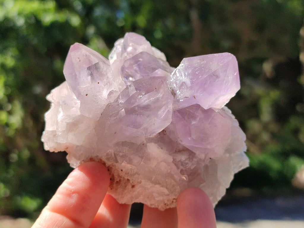 Natural Jacaranda Amethyst Crystal Clusters x 6 From Mumbwa, Zambia