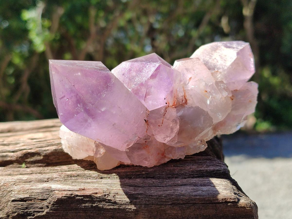 Natural Jacaranda Amethyst Crystal Clusters x 6 From Mumbwa, Zambia