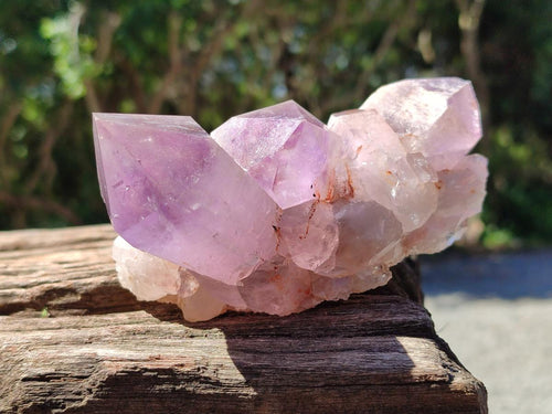 Natural Jacaranda Amethyst Crystal Clusters x 6 From Mumbwa, Zambia - Toprock Gemstones and Minerals 