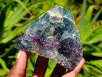 Natural Watermelon Fluorite Cobbed Specimens x 12 From Uis, Namibia
