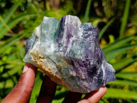 Natural Watermelon Fluorite Cobbed Specimens x 12 From Uis, Namibia
