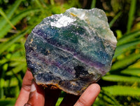 Natural Watermelon Fluorite Cobbed Specimens x 12 From Uis, Namibia
