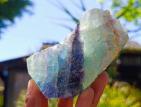 Natural Watermelon Fluorite Cobbed Specimens x 12 From Uis, Namibia