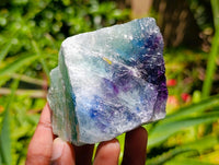 Natural Watermelon Fluorite Cobbed Specimens x 12 From Uis, Namibia