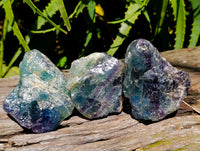 Natural Watermelon Fluorite Cobbed Specimens x 12 From Uis, Namibia