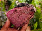Polished On One Side Rhodonite Nodules x 5 From Ambindavato, Madagascar