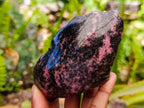 Polished On One Side Rhodonite Nodules x 5 From Ambindavato, Madagascar