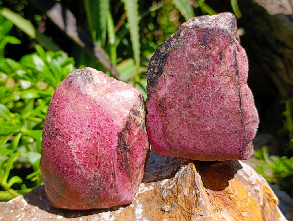 Polished On One Side Rhodonite Nodules x 5 From Ambindavato, Madagascar