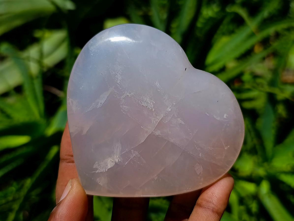 Polished Rose Quartz Hearts x 6 From Madagascar