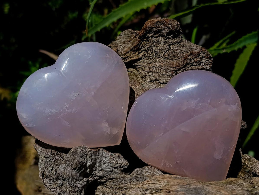 Polished Rose Quartz Hearts x 6 From Madagascar