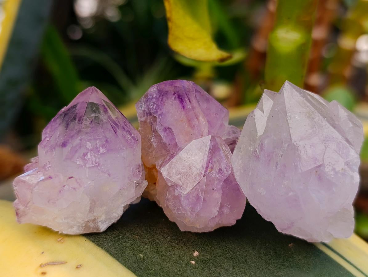 Natural Sunburst Amethyst Spirit Clusters And Crystals x 20 From Boekenhouthoek, South Africa